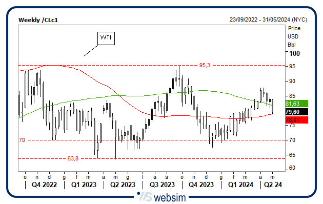 0205wti WebSim