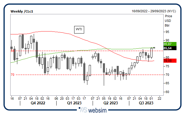 0409wti WebSim 0409wti WebSim