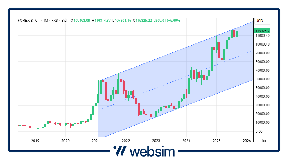 1209bitcoin Websim
