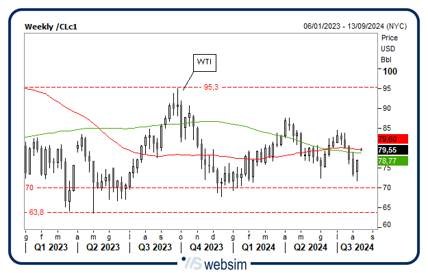 1308wti WebSim