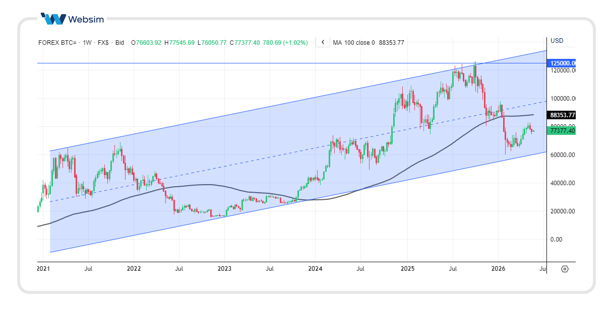 2505bitcoin Websim