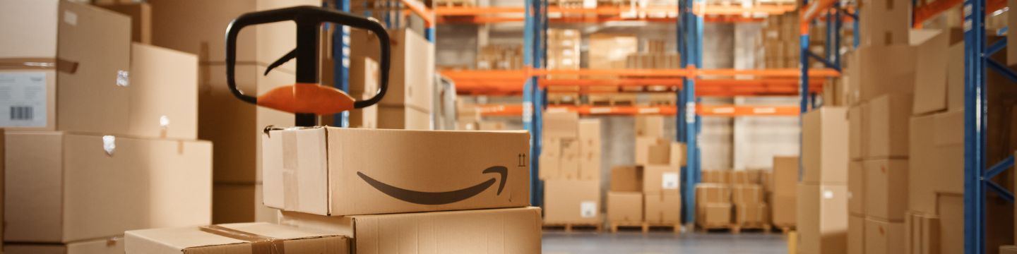 amazon websim 3