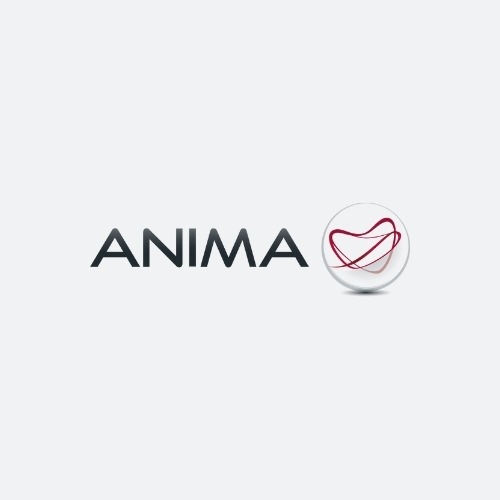 ANIMA HOLDING