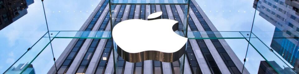 apple_websim_2