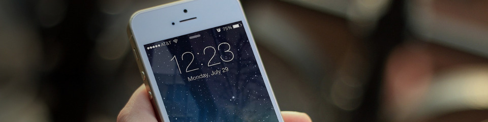 apple_websim_3