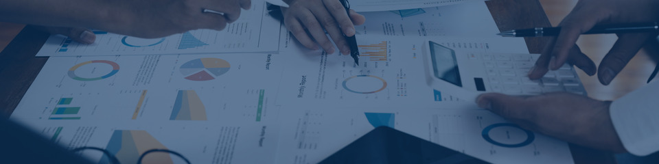 Asset allocation_websim1