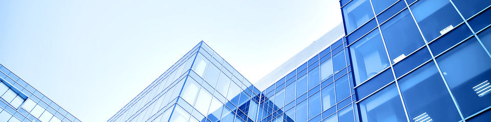 Banche_websim12