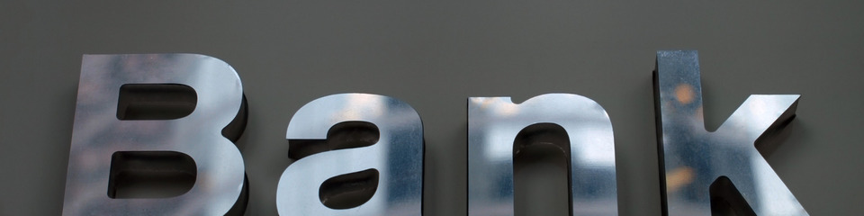 Banche_websim15