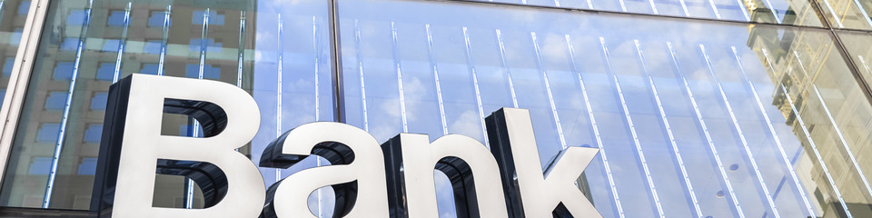 Banche_websim19