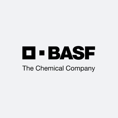 logo BASFn.DE