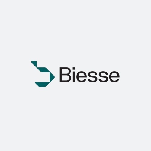 logo BSS