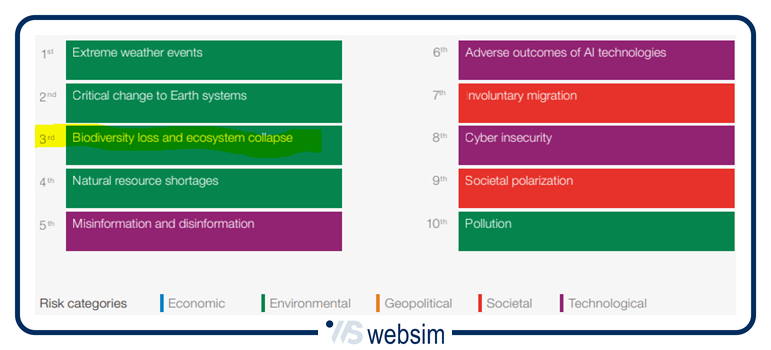biodiversità WebSim biodiversità WebSim