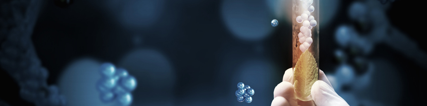 Biotecnologie_websim1