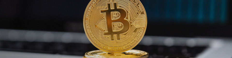 Bitcoin La Rivoluzione Monetaria Digitale2_websim