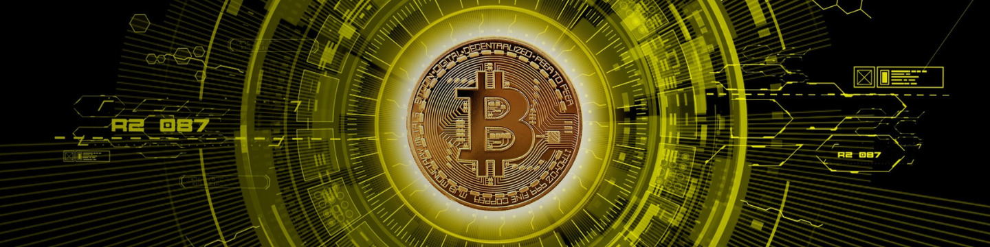 bitcoin_websim_10