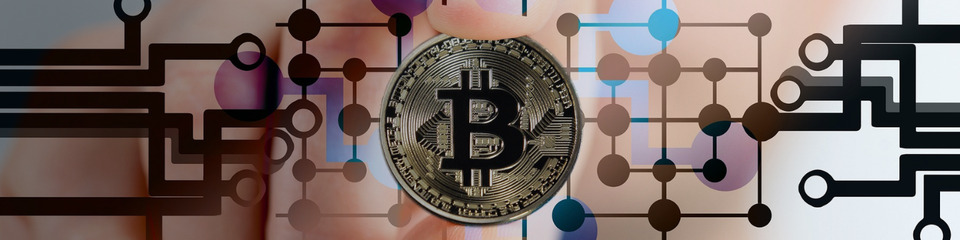 bitcoin_websim_12