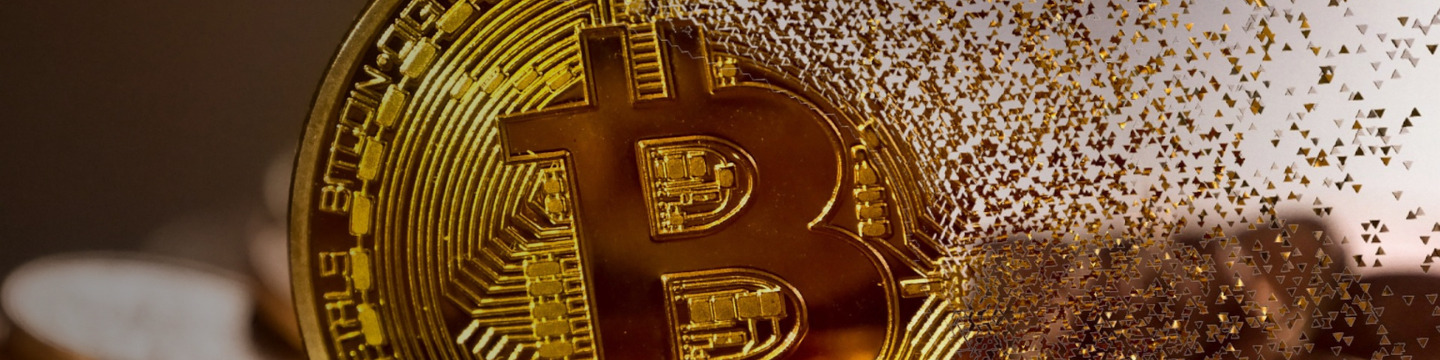bitcoin_websim_13