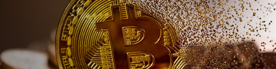 bitcoin_websim_13