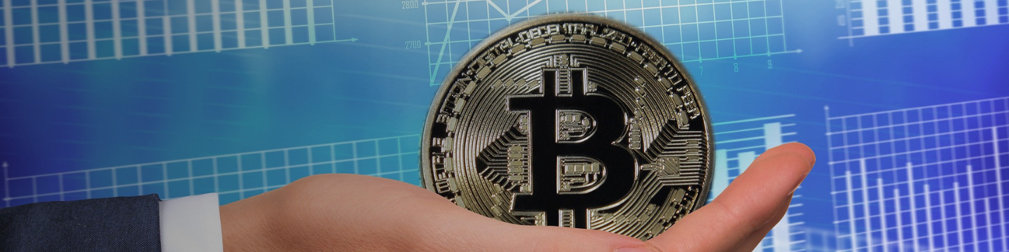 bitcoin_websim_14
