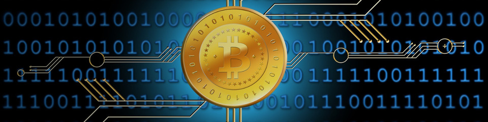 bitcoin_websim_15
