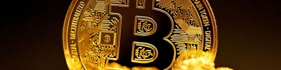 bitcoin_websim_2