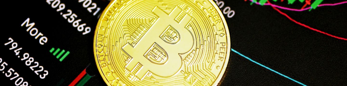 bitcoin_websim_3