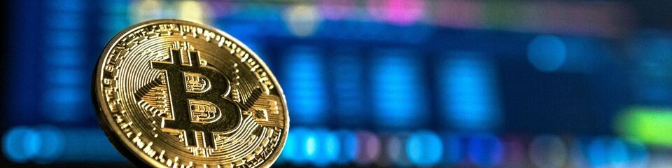 bitcoin_websim_4