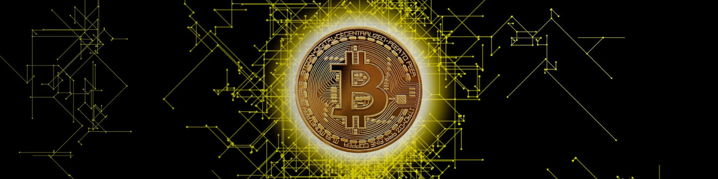 bitcoin_websim_9