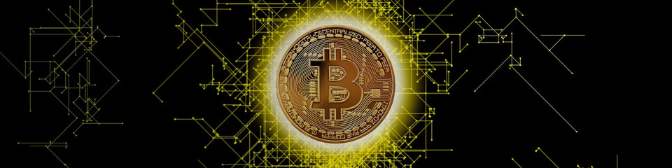 bitcoin_websim_9