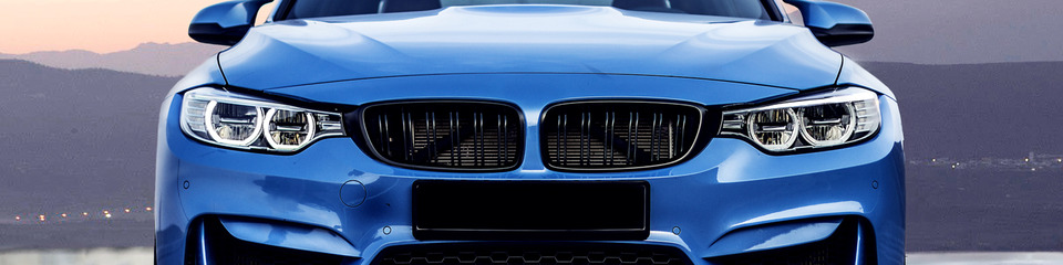 Bmw_websim4