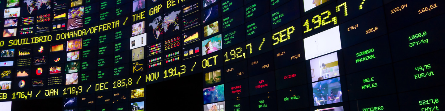 Borsa_websim11