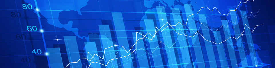Borsa_websim11