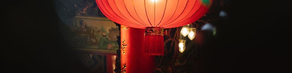 cina_websim_4