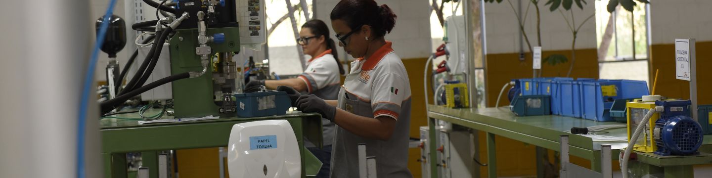 Catena di produzione Cofle