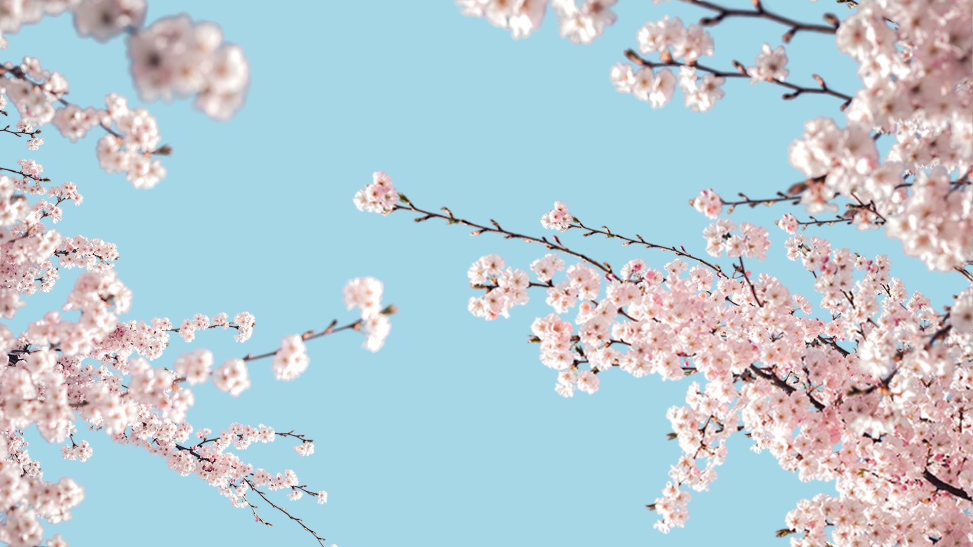 copertina articolo bond socgen 1920x1080