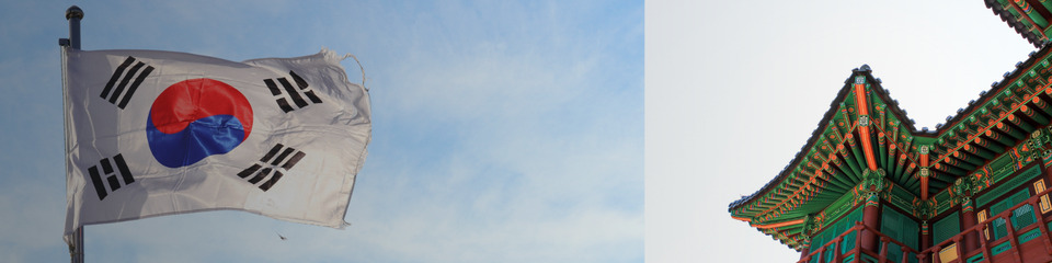 corea_websim_3