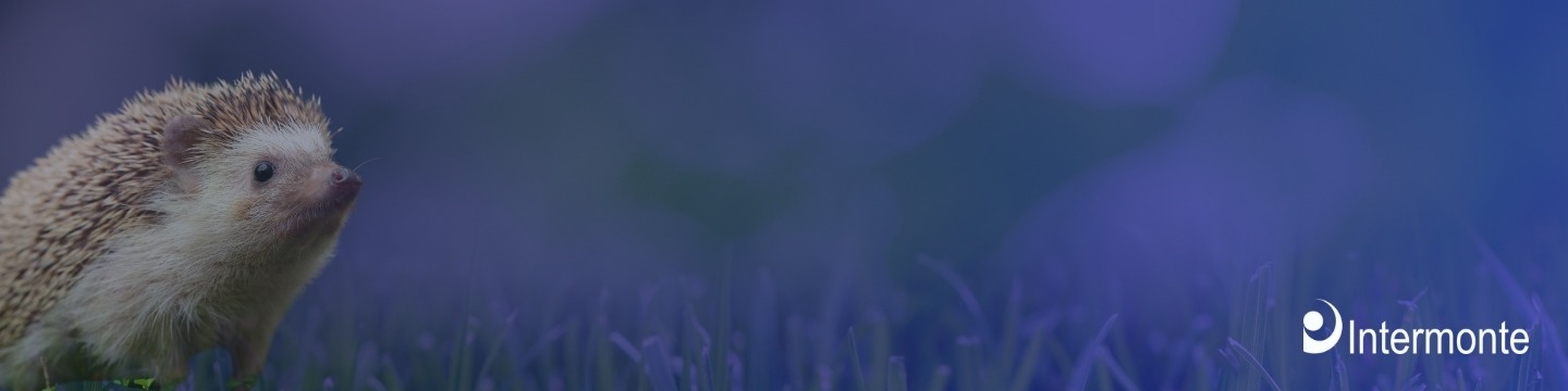 Cover LP