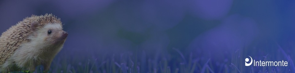 Cover LP