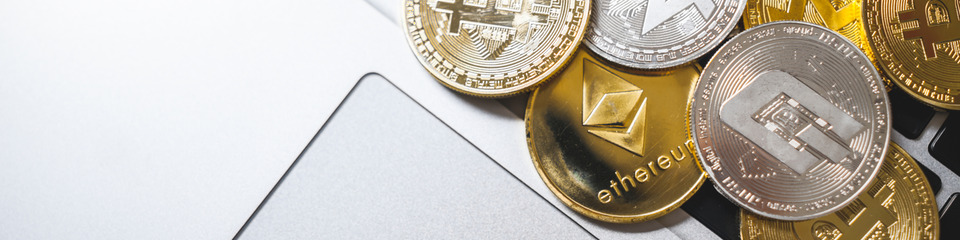 cripto_websim