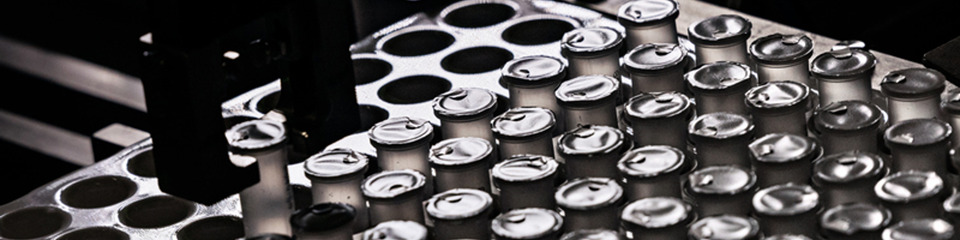 Diasorin_websim1