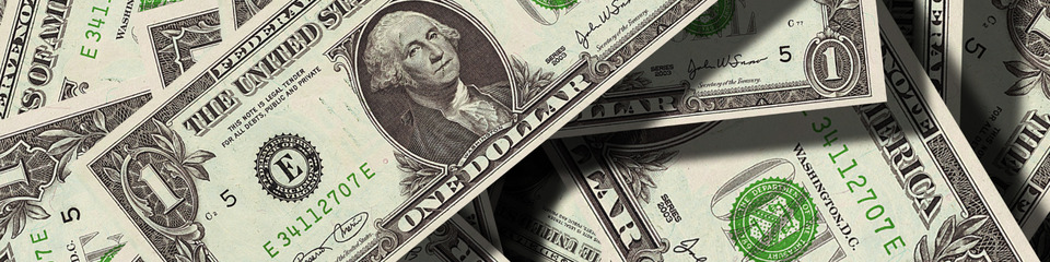 dollaro_websim