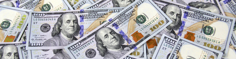 dollaro_websim_2