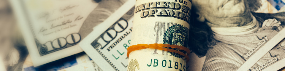 dollaro_websim_3