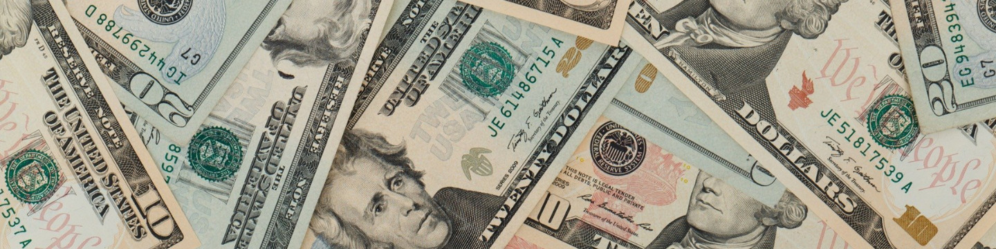 dollaro_websim_4
