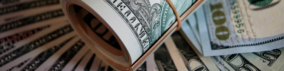 dollaro_websim_5