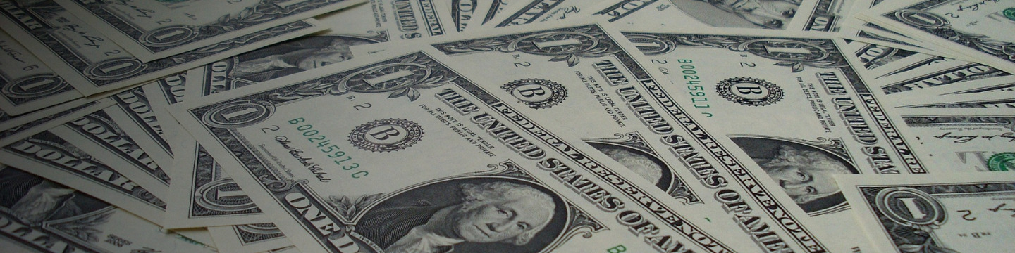 dollaro_websim_7