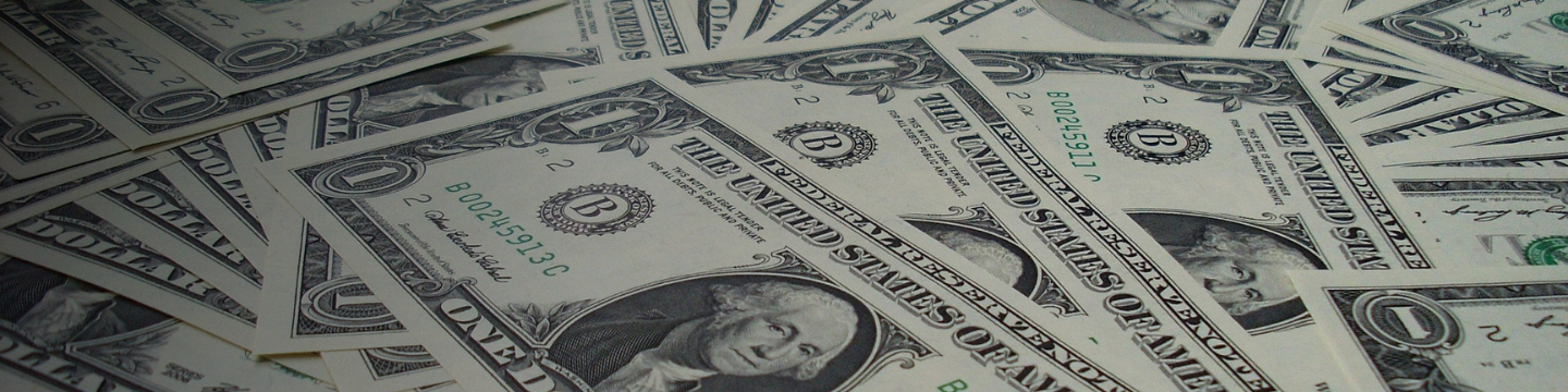 dollaro_websim_7 dollaro_websim_7