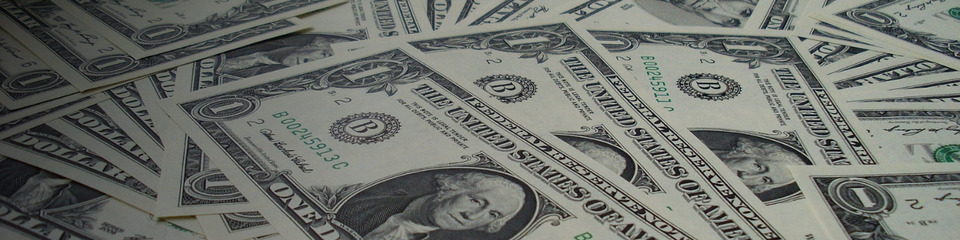 dollaro_websim_7