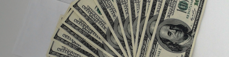 dollaro_websim_8