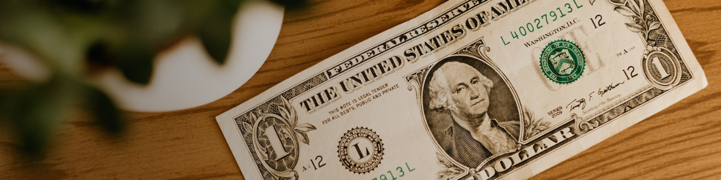 dollaro_websim_9